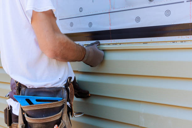 Affordable Siding Installation solutions in Elloree, SC